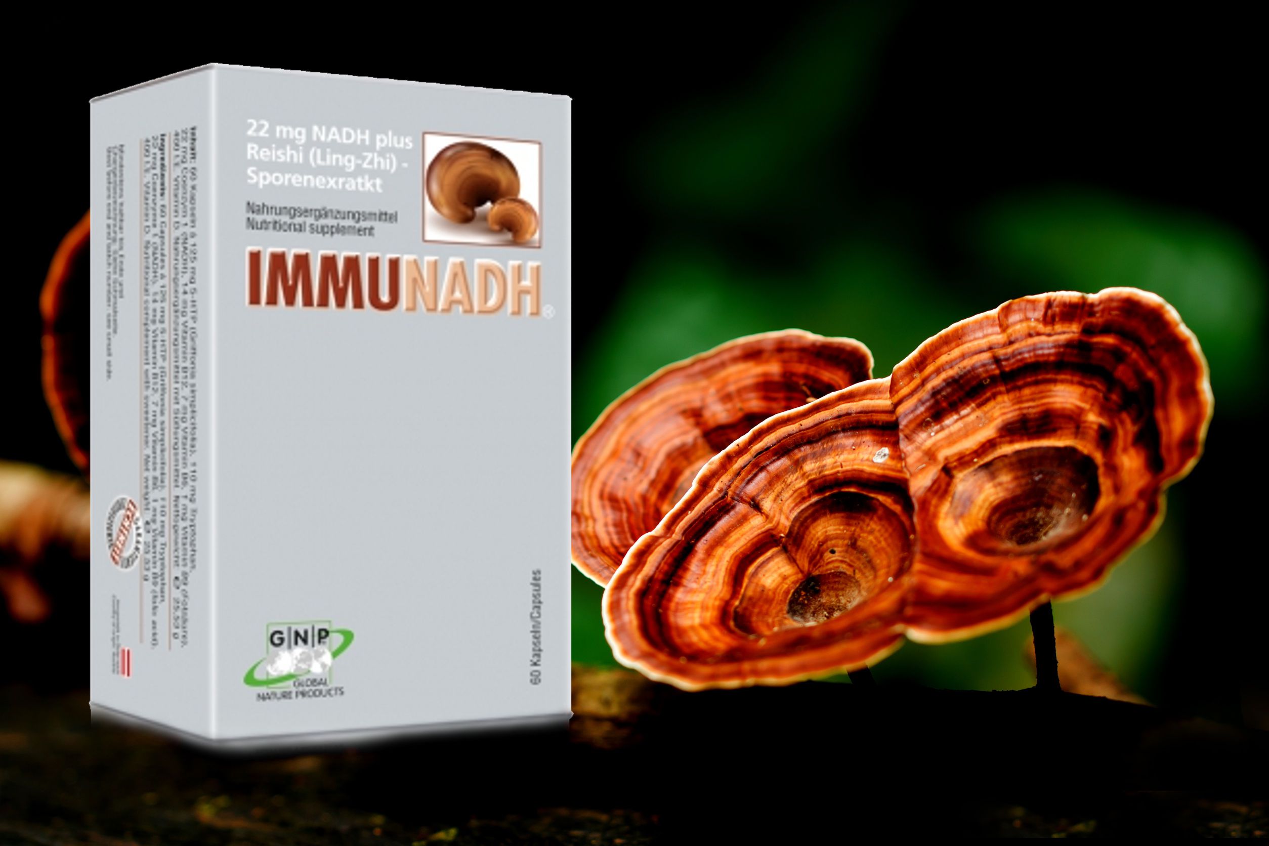 NADH Immune Reishi Ling Zhi