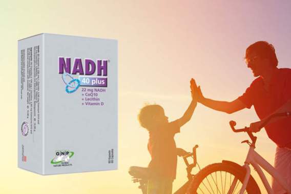 NADH als Booster für schnelle Reaktion
